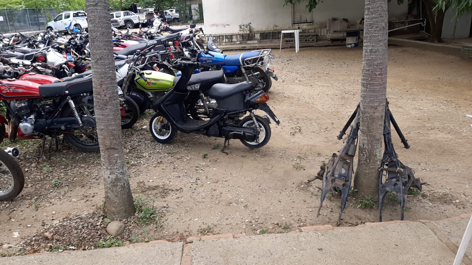 WhatsApp Image 2021 09 19 at 11.20.56