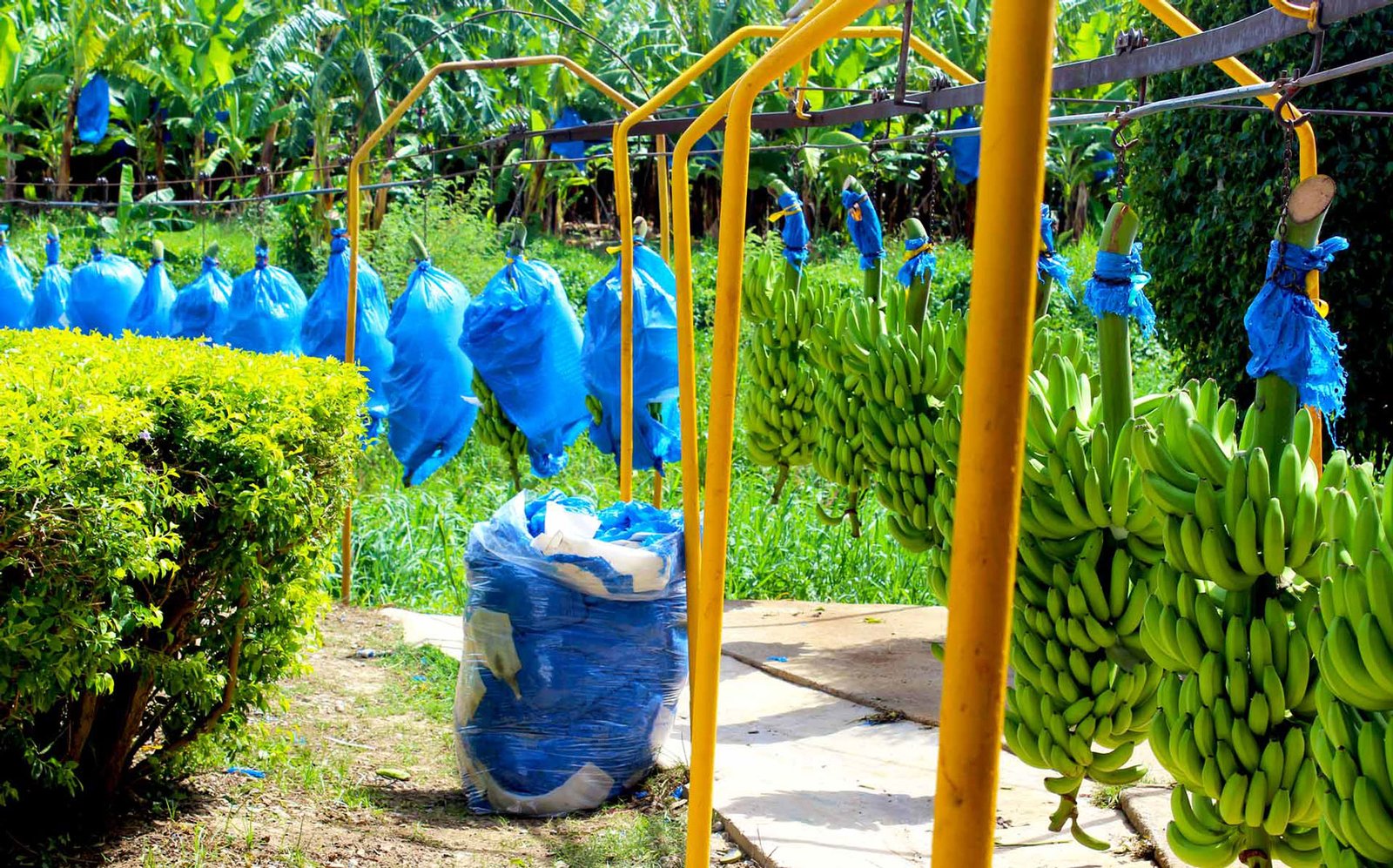 D872457E 01B9 4316 8B34 F3C2A4708A0F