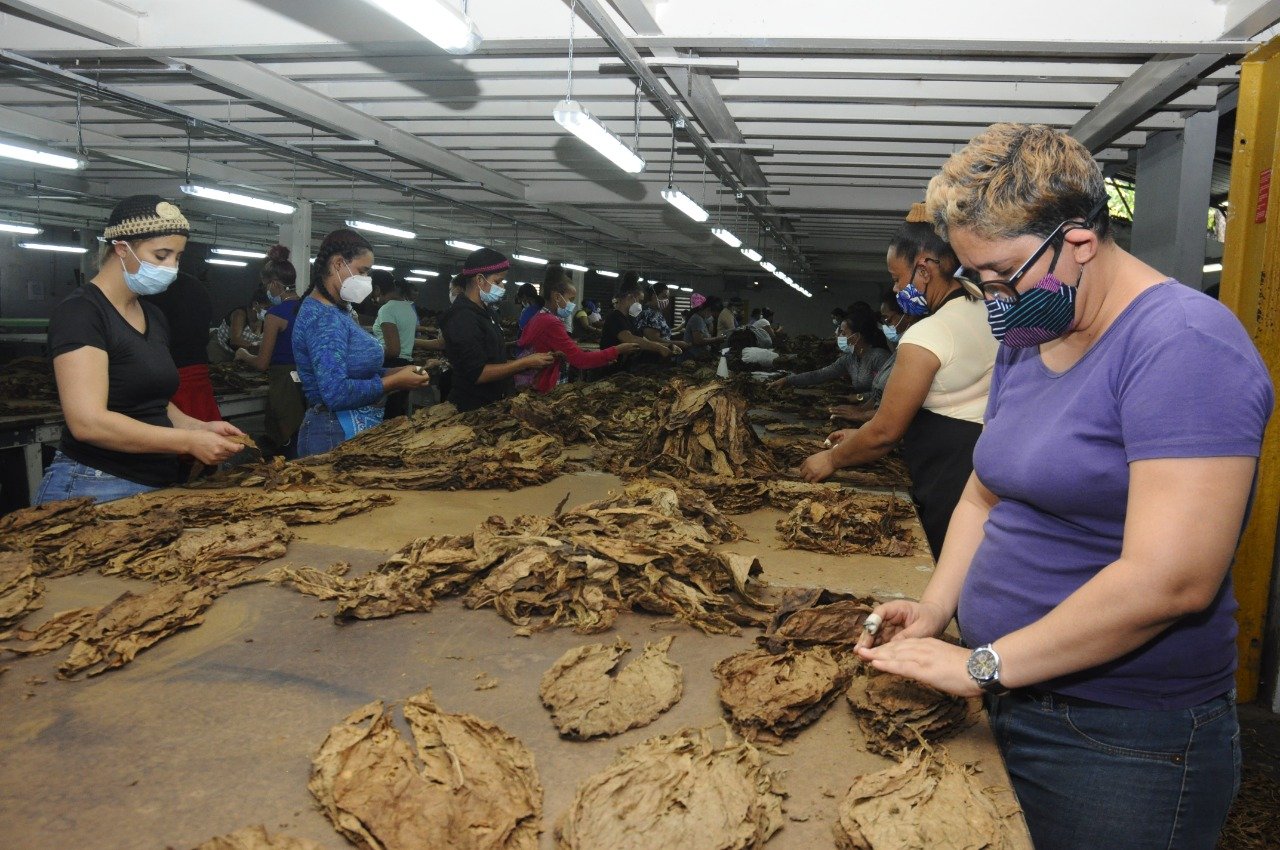 PHOTO 2022 01 06 10 06 04