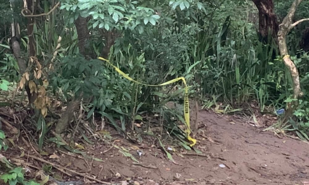 CAF8C84E 9E5C 49E5 8CC0 7C88CC62933D