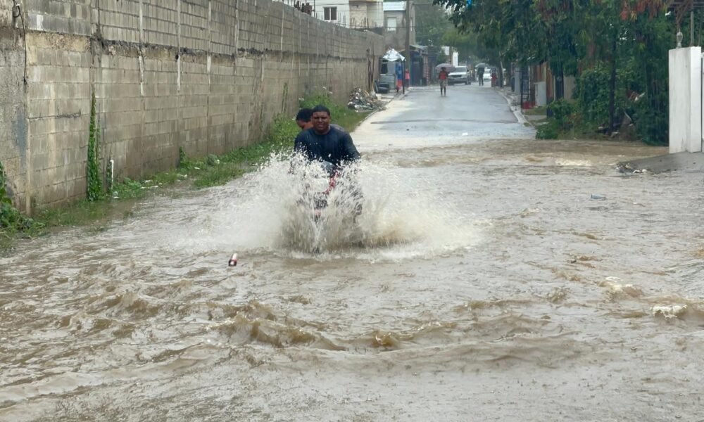 Imagen de WhatsApp 2023 05 16 a las 17.20.19