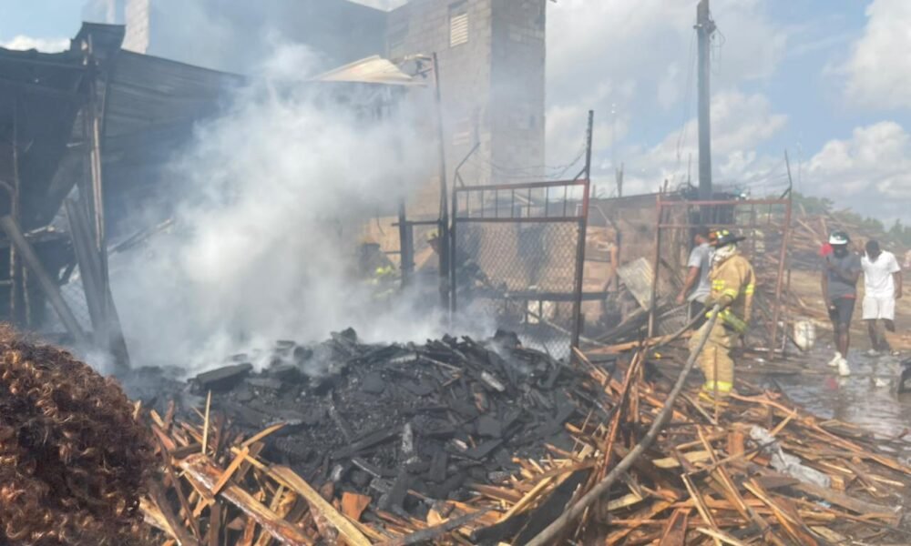 WhatsApp Image 2023 07 17 at 10.52.24 AM 1