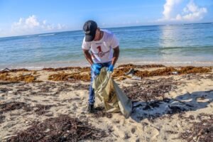 Colaborador limpieza de playa