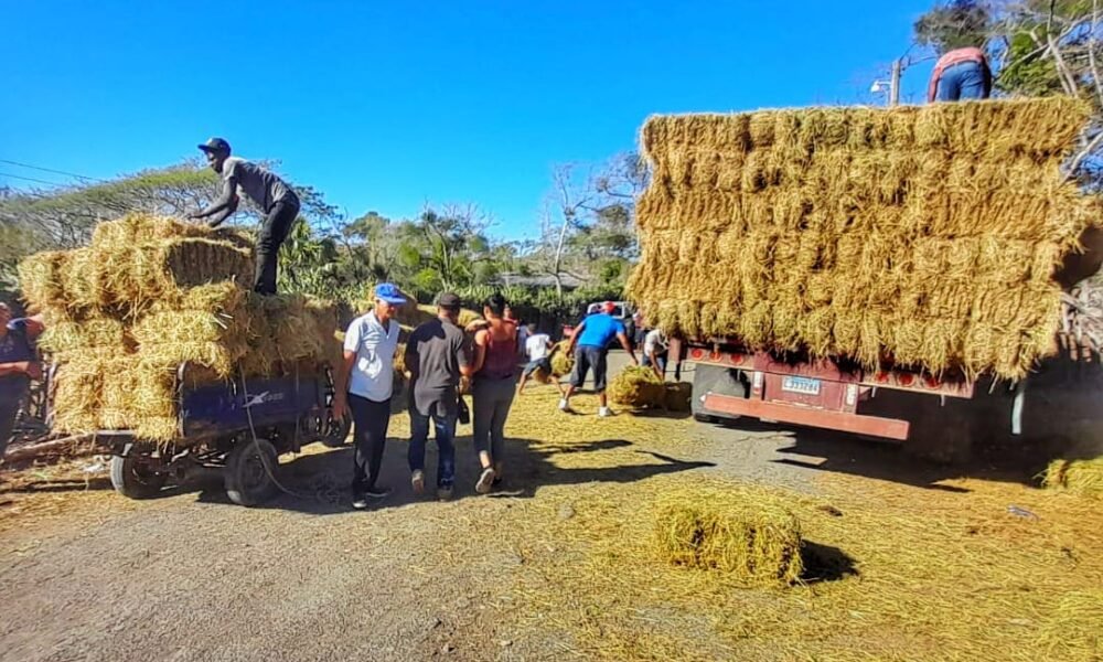 PHOTO 2023 09 17 08 03 25