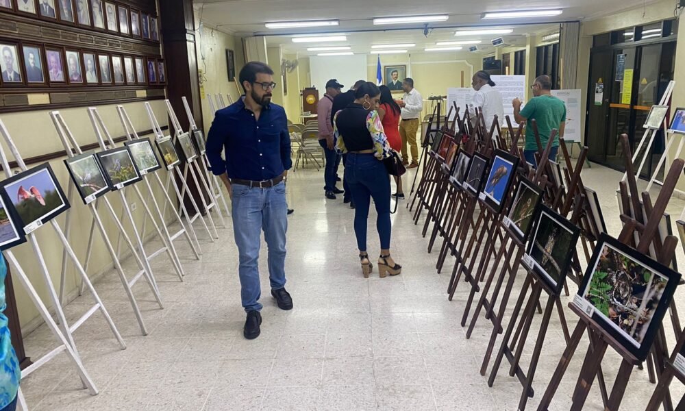 Imagen de WhatsApp 2023 10 02 a las 10.22.34 dbdf6d4e