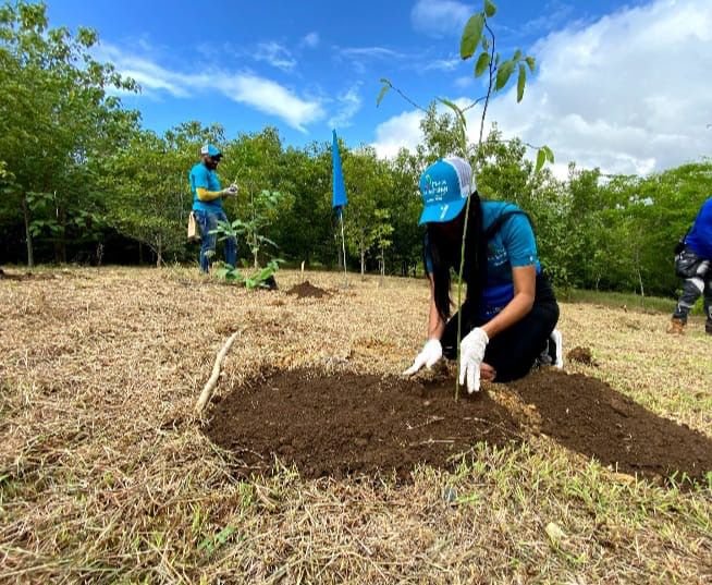 Imagen de WhatsApp 2023 11 07 a las 11.33.49 0a800299