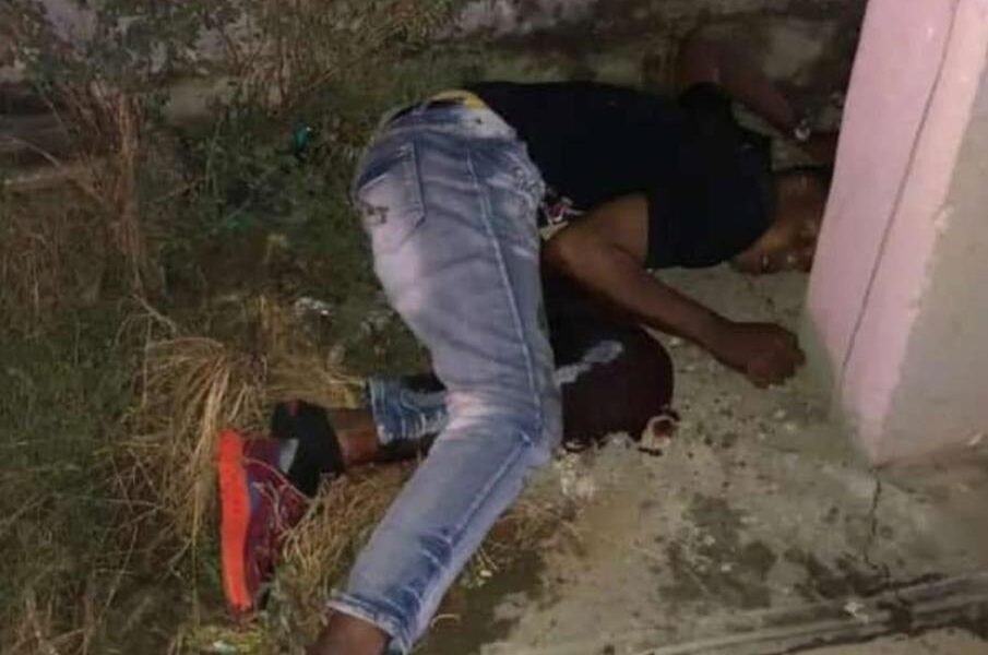 Imagen de WhatsApp 2023 11 20 a las 11.45.58 0cd8a00b