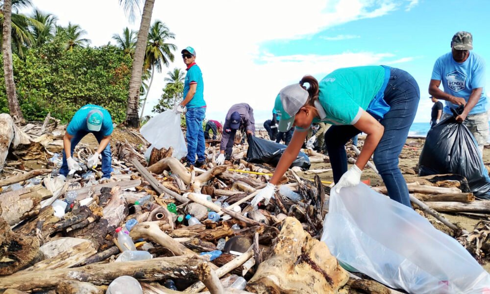 B3F3F283 08E0 4AB5 99FF 2AE5841394CA