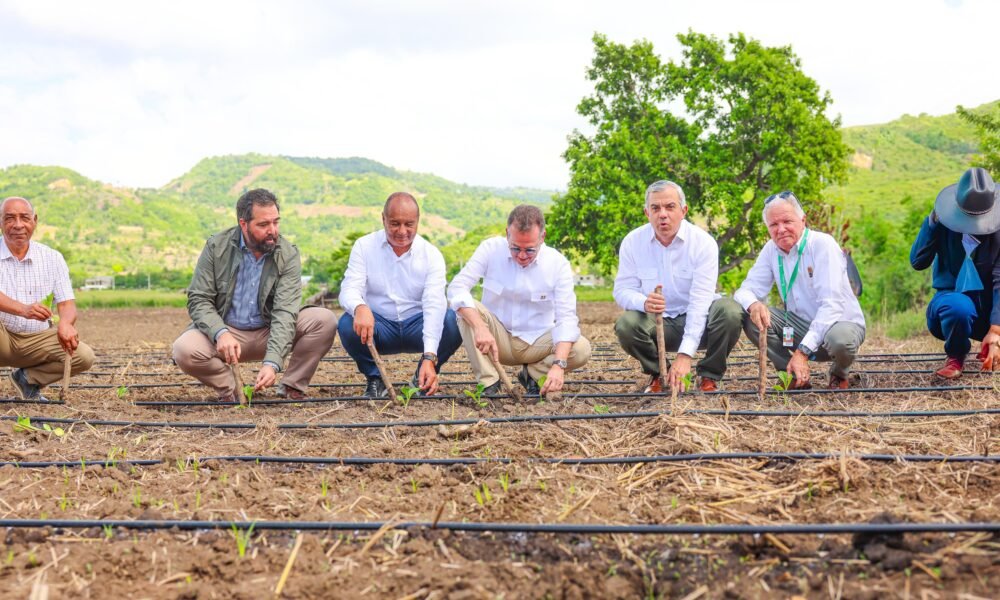 WhatsApp Image 2025 10 21 at 2.01.39 PM