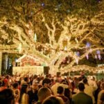 809b112b 37cb 4312 aa7c dd71b944173a