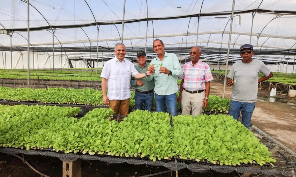 aecb8a41 8b27 4890 beed 6271a0e6730f