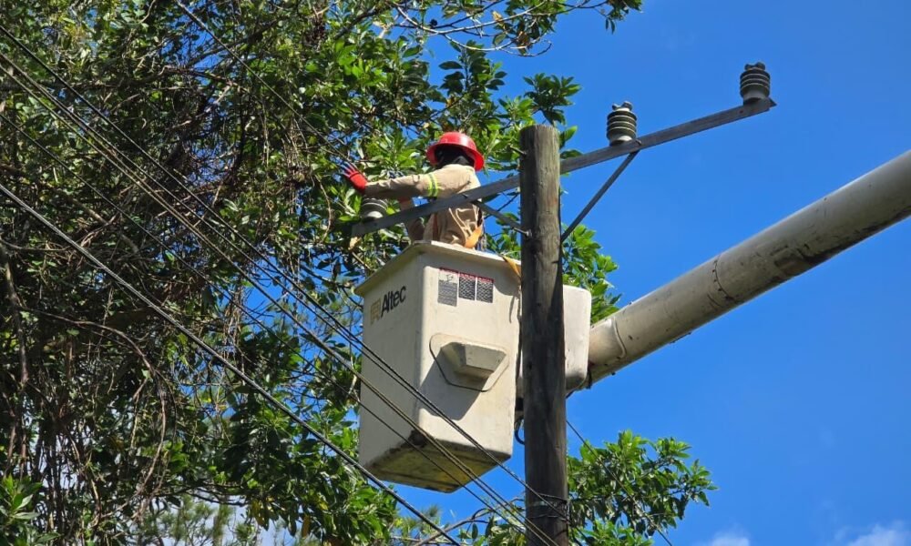 ef90e795 4c6f 4e8f a2ce 62f4b84f243c