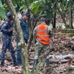 07eaacd7 80d1 4e6f ac4a 0207fc23bc15