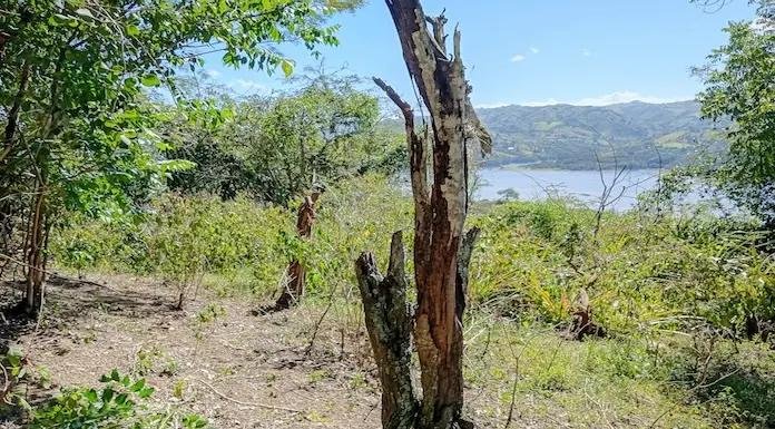 WhatsApp Image 2026 01 20 at 2.35.44 AM