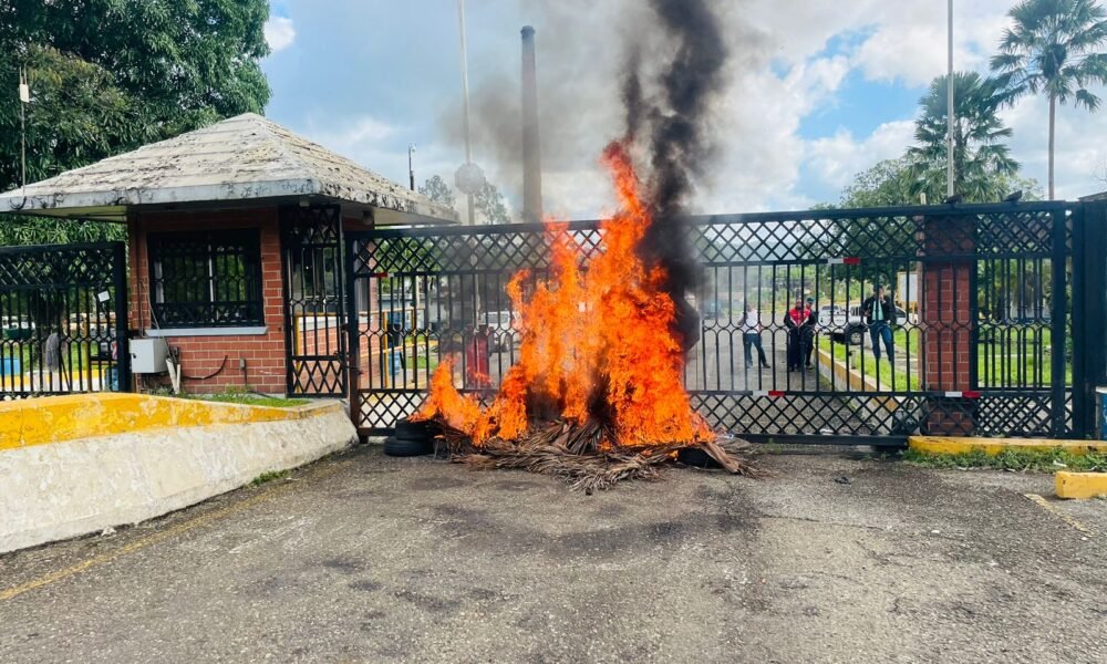 653362182 1509528410801450 7070378899051521047 n