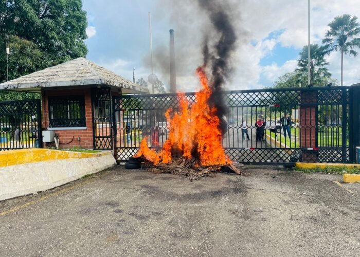 653362182 1509528410801450 7070378899051521047 n