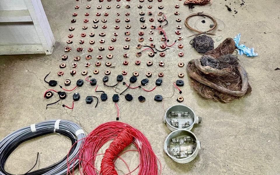 WhatsApp Image 2026 03 17 at 5.15.20 PM